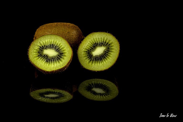 photo studio kiwis